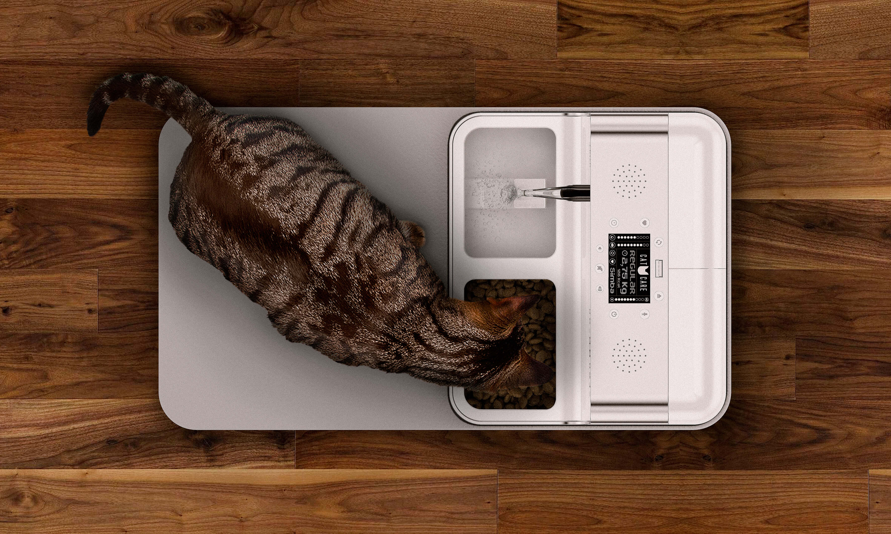 CATCARE-2018—7-2